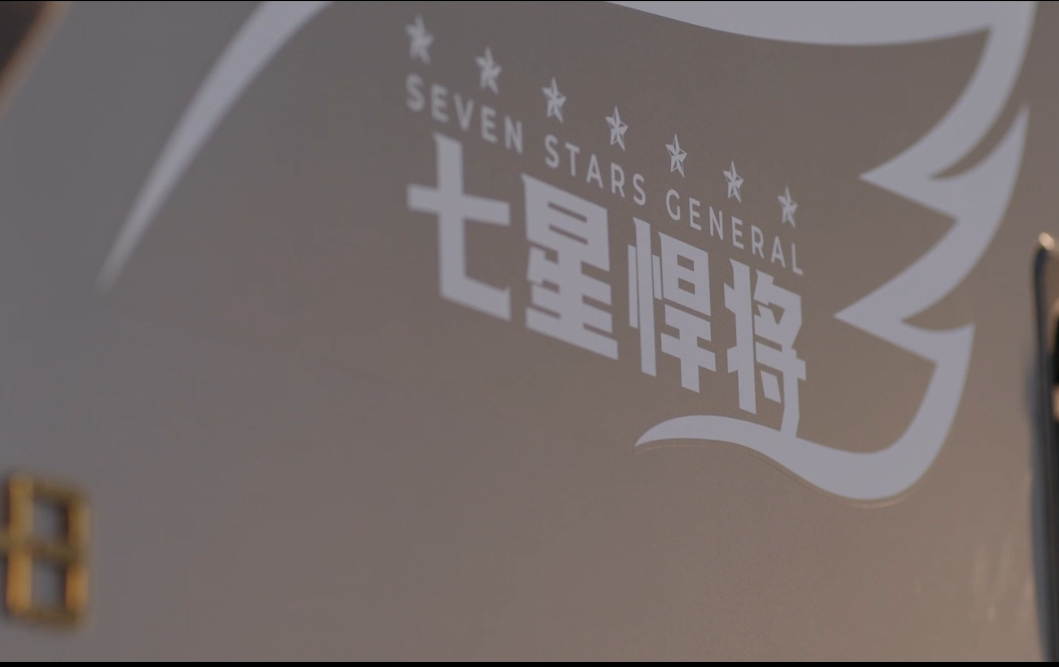 金悍将宣扬片