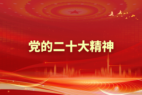 党的二十大精力